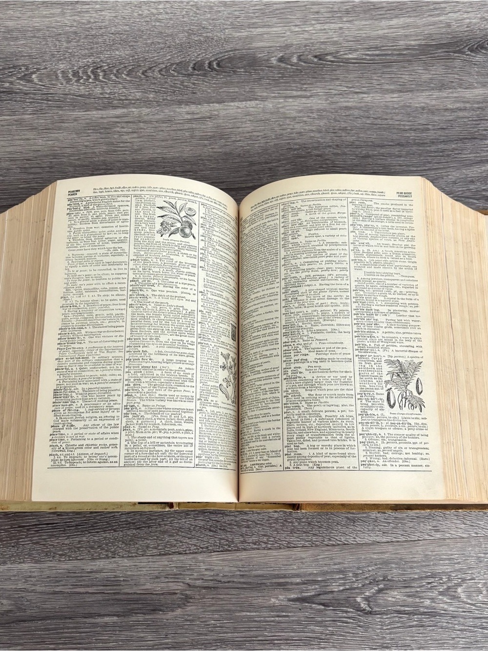 Vintage Websters Dictionary Book in Red and Gold - Picture 6 of 7